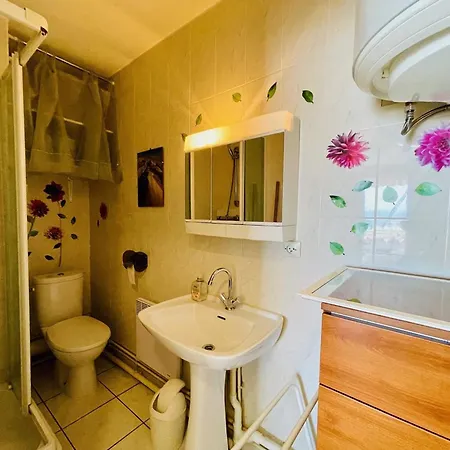 Appartement Arcachon, 1 Pièce, 2 Personnes - Fr-1-433-1 *